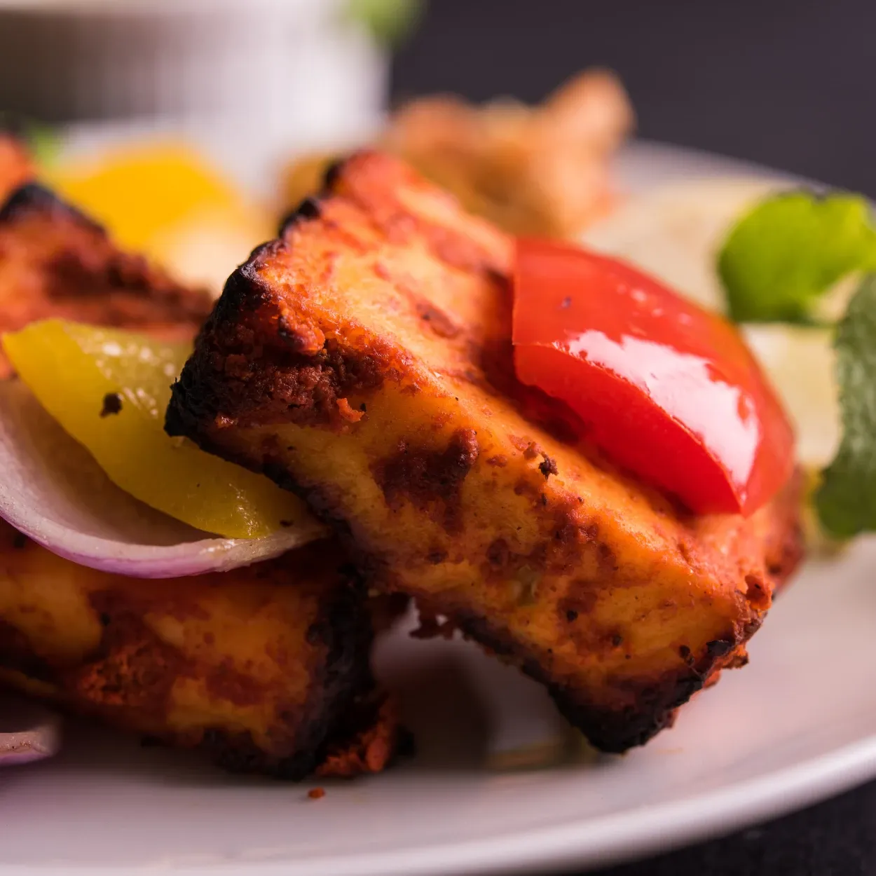 Cavo Restro Cafe Ahmedabad Menu Clay Tandoori Starters